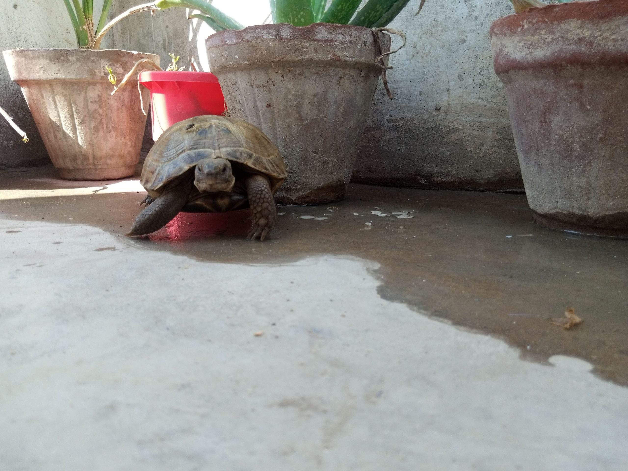 17000 by Saniyal Zaib