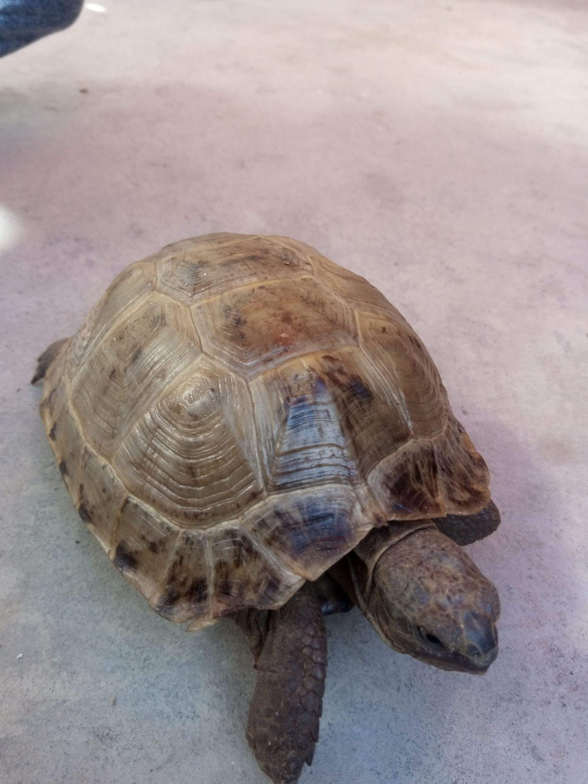 17000 by Saniyal Zaib