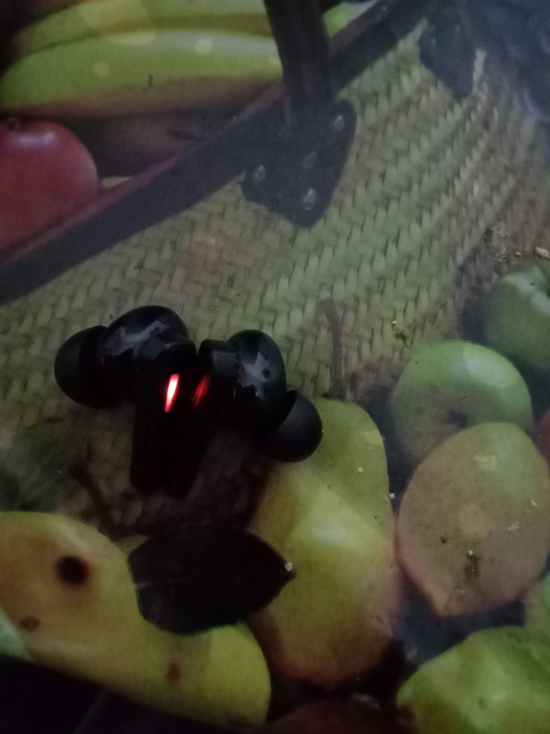 Bloody M70 by Abbas Mughal