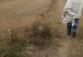12 Marla cornor plot and good location in mardan city by Sohail shahid