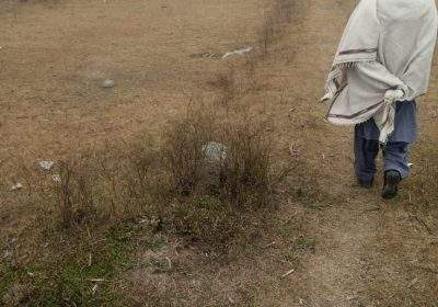 d1e10176-1107-4fea-8615-7c58d3b20ae7