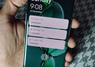 d46ba3c8-2f29-4562-9b69-44b40f1a6c3e