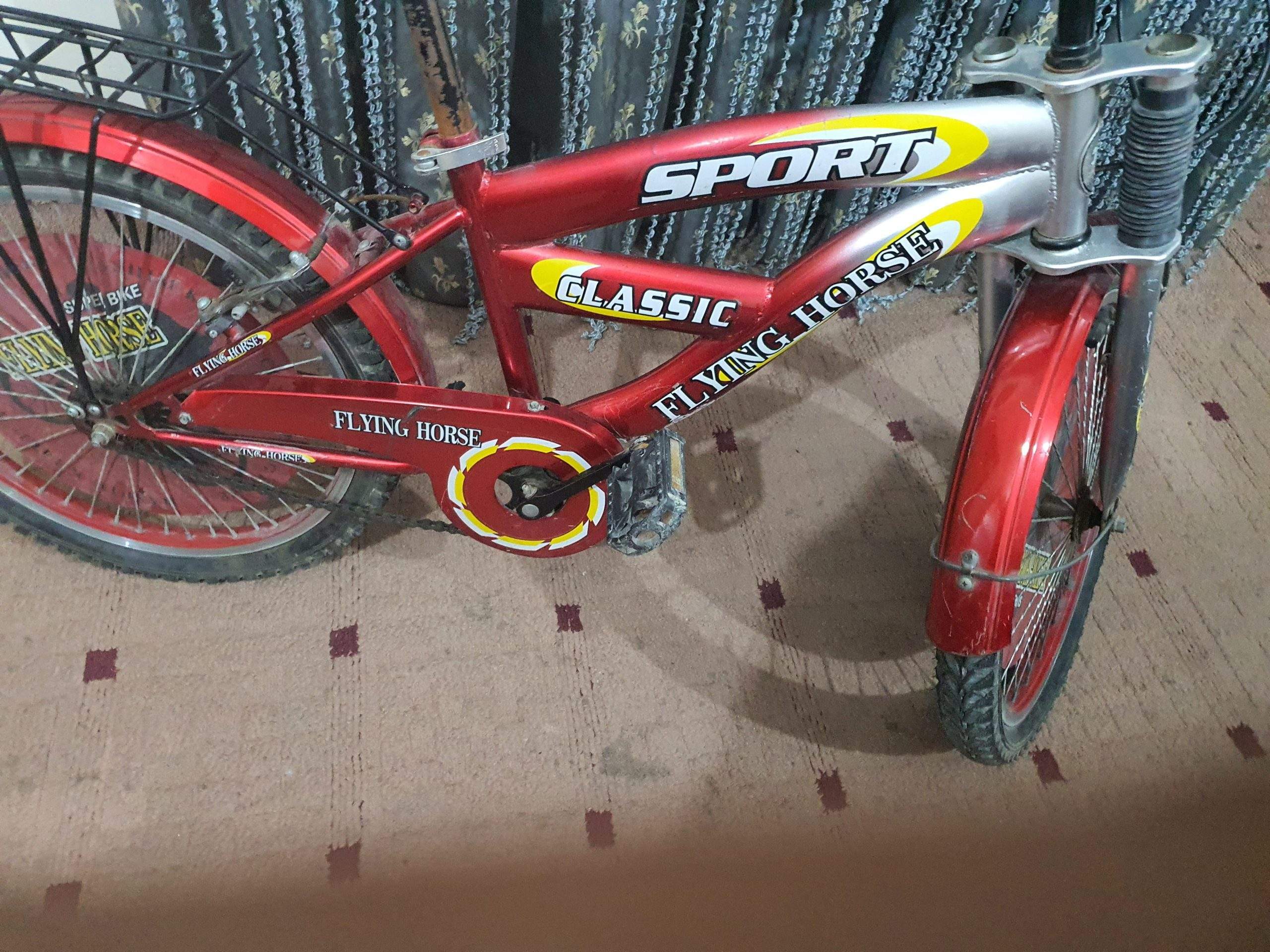 Bicycle by Rozi Shakeel