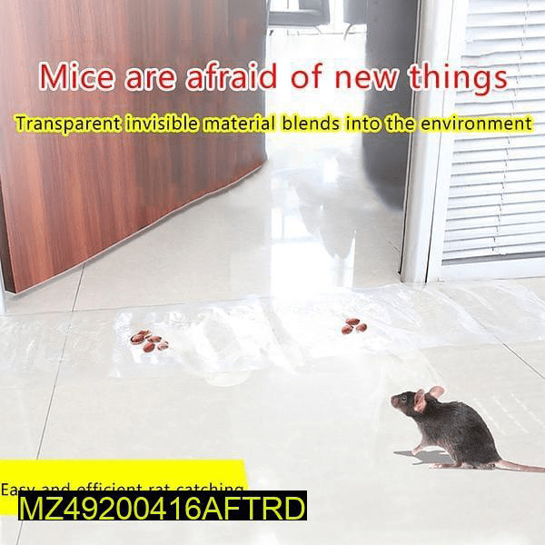 Transparent rat trap magic carpet by Abdul Jabar