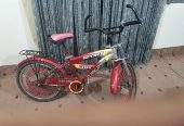 Bicycle by Rozi Shakeel