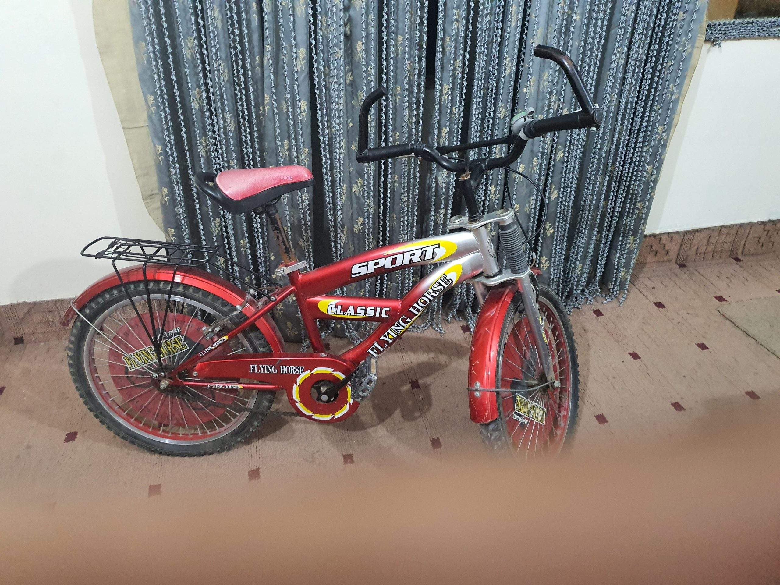 Bicycle by Rozi Shakeel