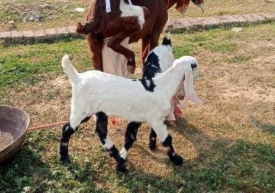 e52838ac-846b-4427-9c61-5bf698c923d7