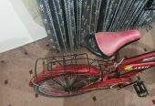 Bicycle by Rozi Shakeel