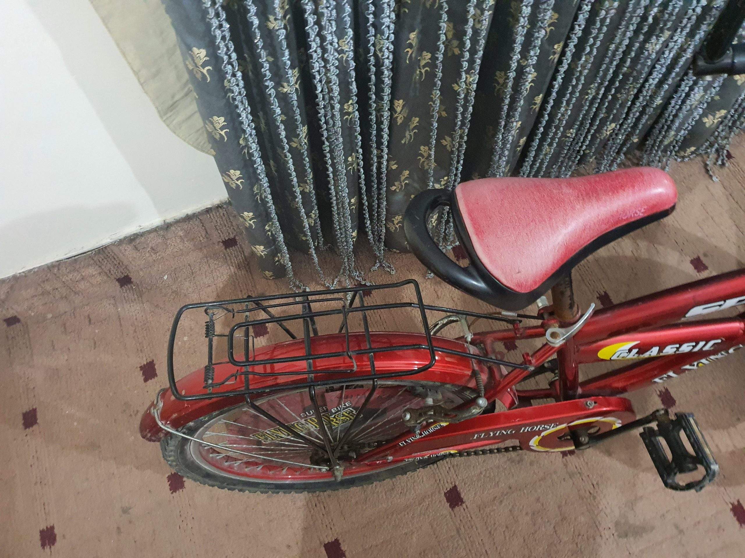 Bicycle by Rozi Shakeel