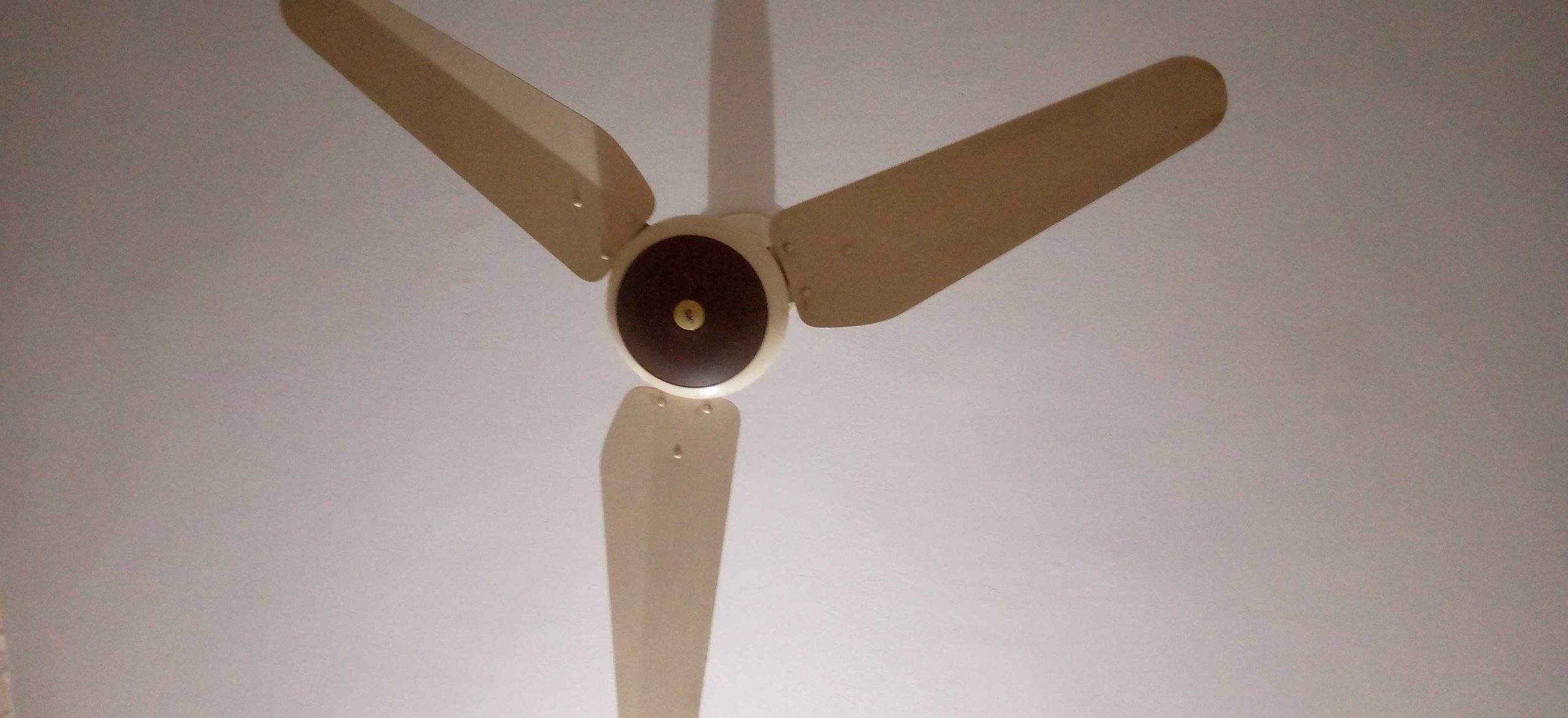 Fan for sale by Salman Baig