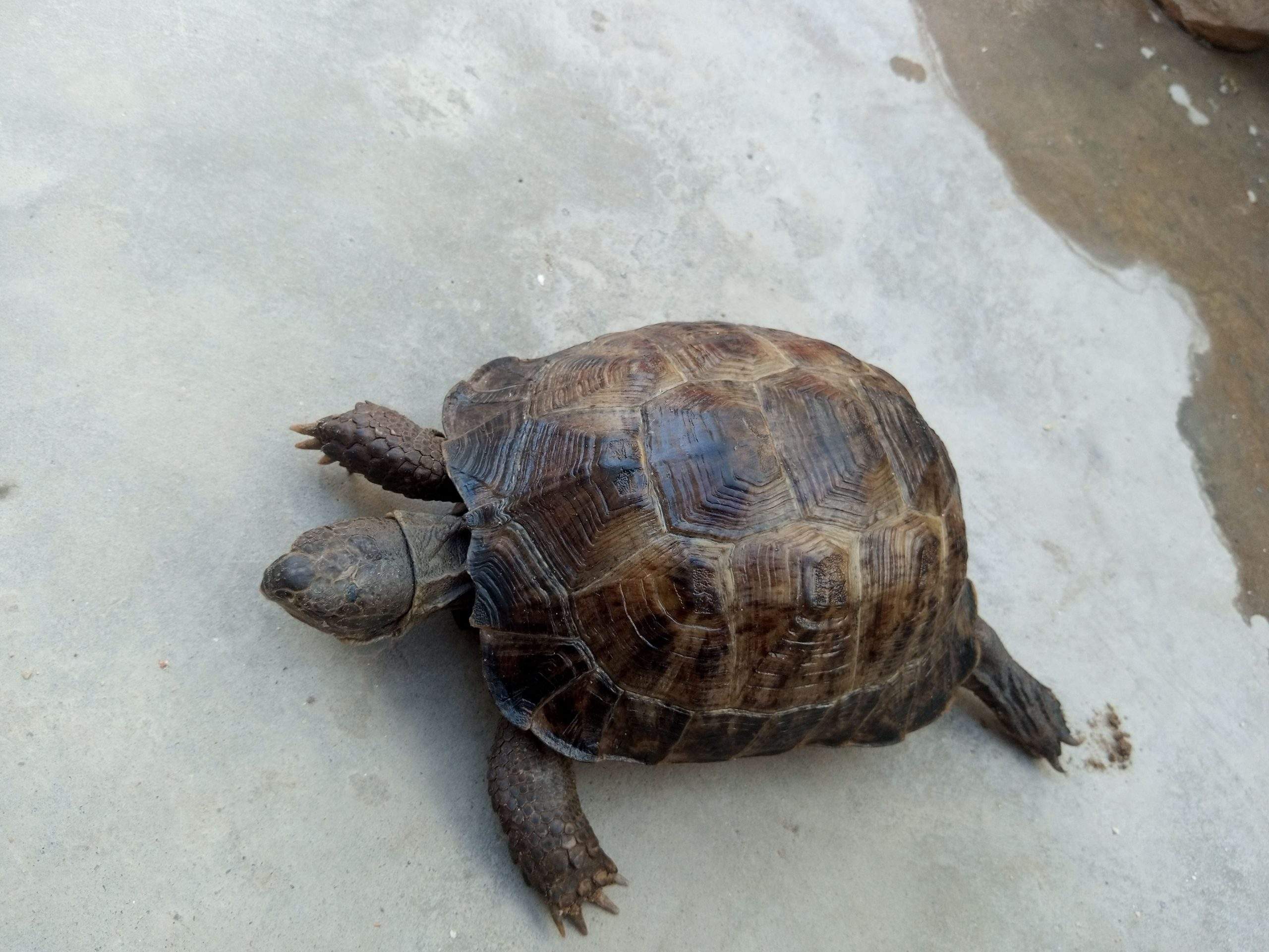 17000 by Saniyal Zaib