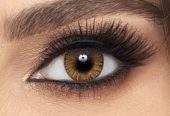 Lens by Saghir