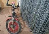 Bicycle by Rozi Shakeel