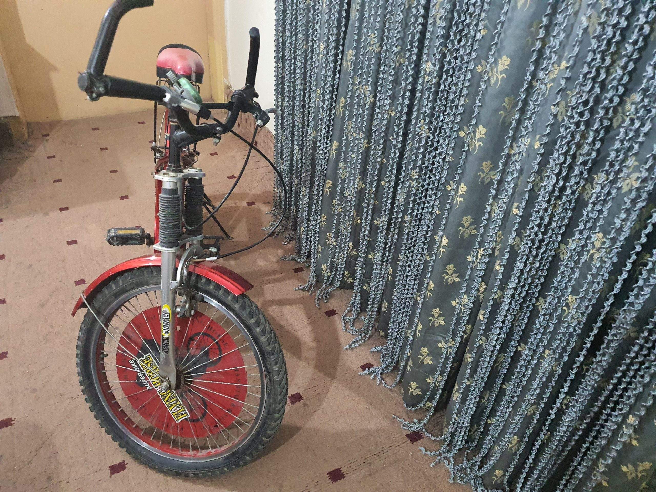 Bicycle by Rozi Shakeel