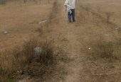 12 Marla cornor plot and good location in mardan city by Sohail shahid
