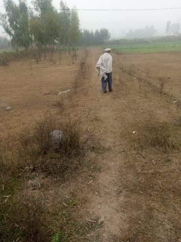 12 Marla cornor plot and good location in mardan city by Sohail shahid