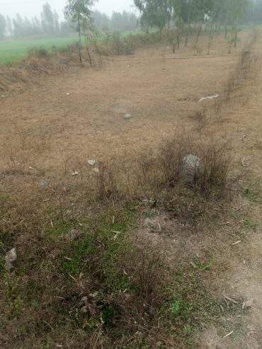 12 Marla cornor plot and good location in mardan city by Sohail shahid