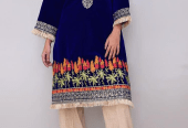 Women’s stitched velvet embroidered shirt by Muhammad Afaq