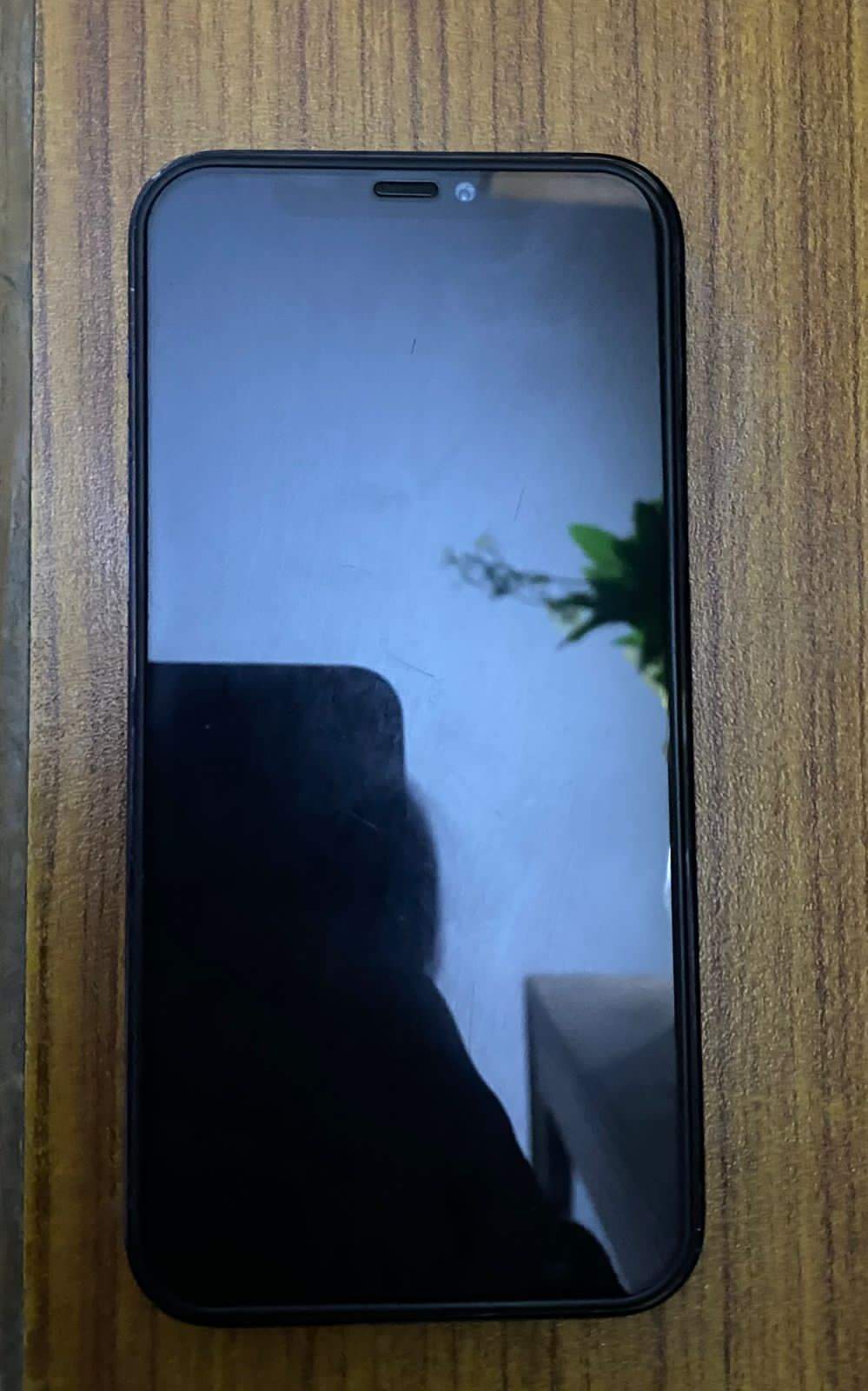 Interested people contact Whatsapp 03151019296 by Muhammad Haseeb