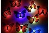 Led Butterfly Night Light 6 Pcs by Essa Sultan