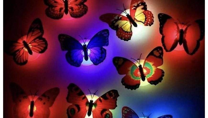 Led Butterfly Night Light 6 Pcs by Essa Sultan