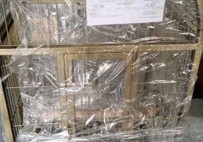 28202445-86a7-477f-8c12-7e22c1dd18d4