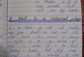 Assignment work professional by M42 JuttYT