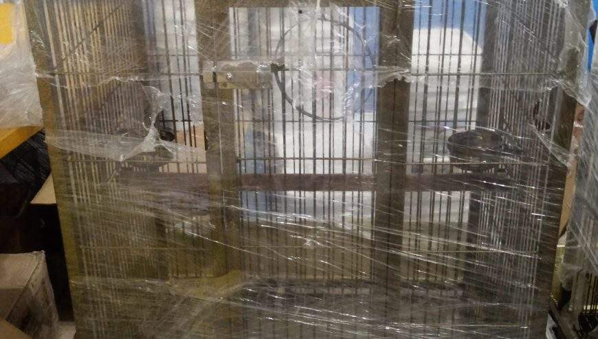 Cage Factory Large Cage for Grey Parrot Raw parrot or all pet birds by Pakistan Power tools