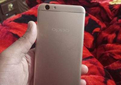 7ecfbeca-35fb-4169-9dde-f2bb9db5fb8b