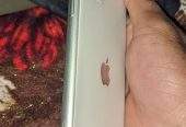 I phone 11.i cloud lga huva ha .apple id bhol gya ha for sale Baki sab by Mehtab khan