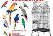 Cage Factory Large Cage for Grey Parrot Raw parrot or all pet birds by Pakistan Power tools