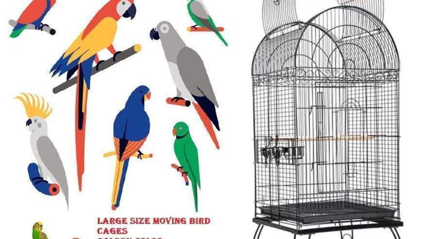 Cage Factory Large Cage for Grey Parrot Raw parrot or all pet birds by Pakistan Power tools