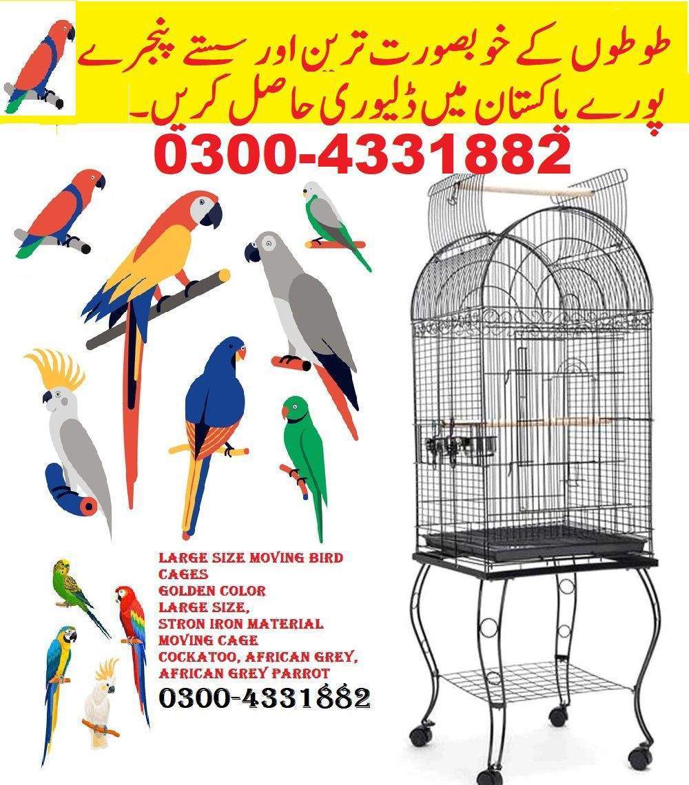 Cage Factory Large Cage for Grey Parrot Raw parrot or all pet birds by Pakistan Power tools