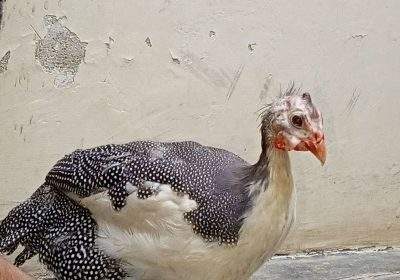 9cd7271a-08de-4aa9-b6bb-7a9a23d33456