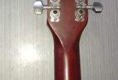Hi – Volts Acoustic Guitar by Mohib Baba