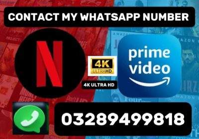 acccb148-4cad-4d83-8445-e178fa3276c9