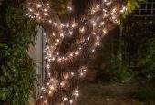 Fairy/Decoration/Jugnu Lights by A.A Traders