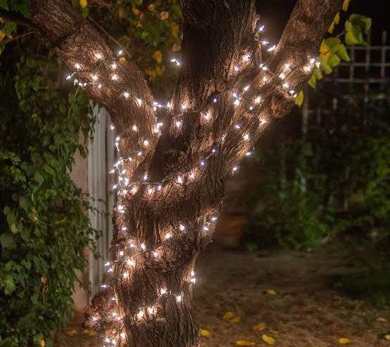 Fairy/Decoration/Jugnu Lights by A.A Traders