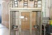 Cage Factory Large Cage for Grey Parrot Raw parrot or all pet birds by Pakistan Power tools
