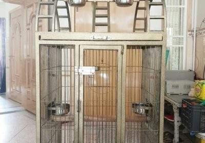 cd75529d-7130-4f18-ba2b-2e77c2f5e067