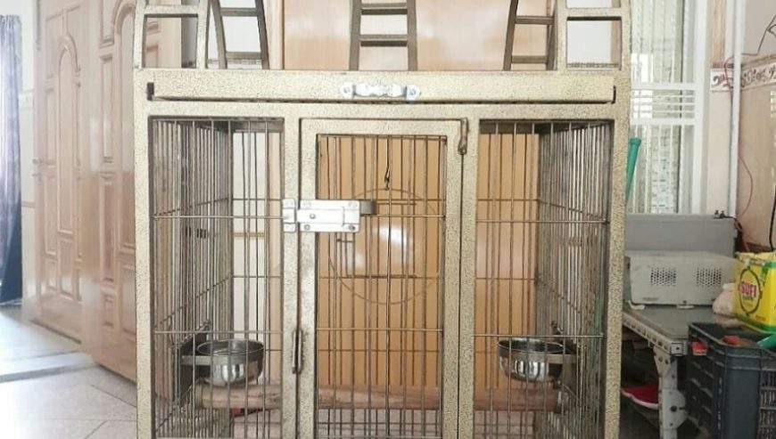 Cage Factory Large Cage for Grey Parrot Raw parrot or all pet birds by Pakistan Power tools