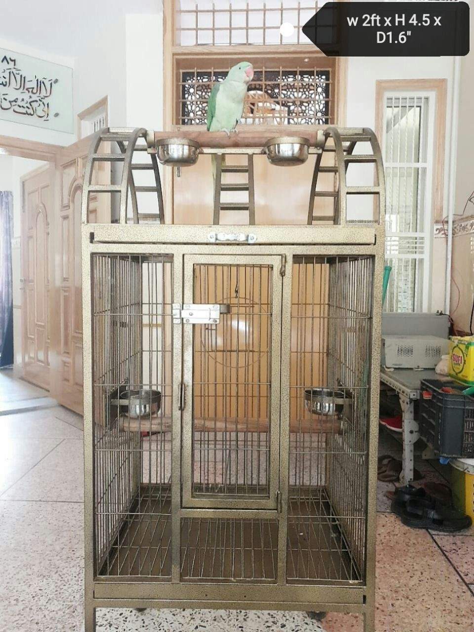 Cage Factory Large Cage for Grey Parrot Raw parrot or all pet birds by Pakistan Power tools