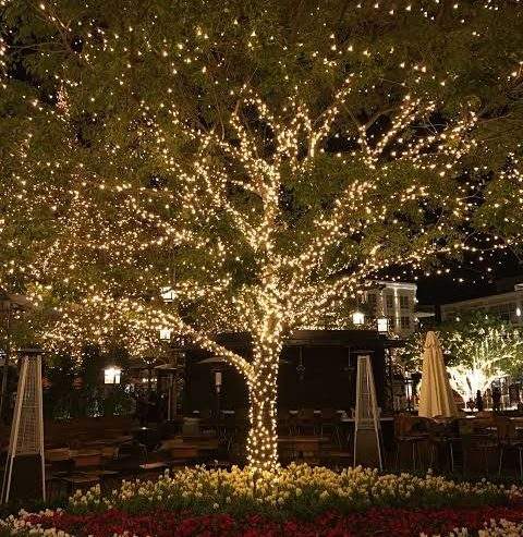 Fairy/Decoration/Jugnu Lights by A.A Traders