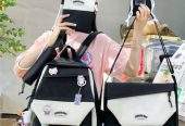 Feshion bags by Tanveer Tanveer