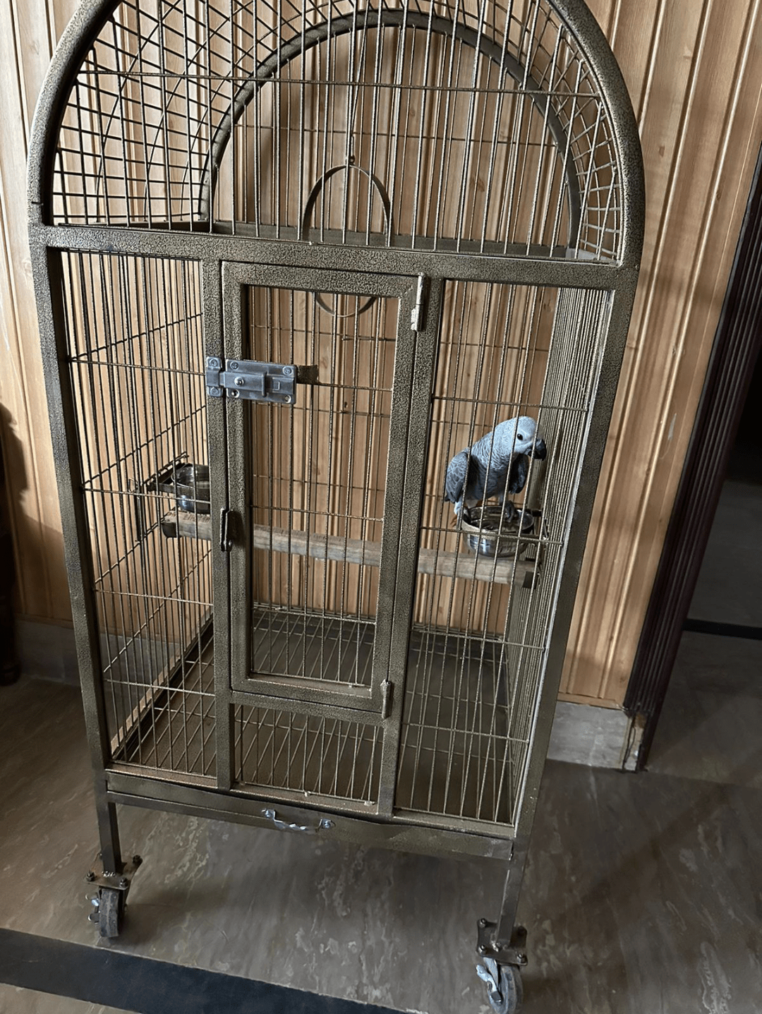 Cage Factory Large Cage for Grey Parrot Raw parrot or all pet birds by Pakistan Power tools