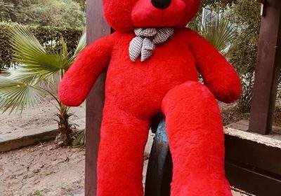 f289c93f-e098-4afb-913d-aff8bc28e3d9