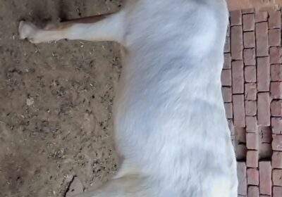 ea16cc86-7eab-427e-be6f-273f797c1bc1