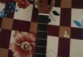 Classical guitar pure wood