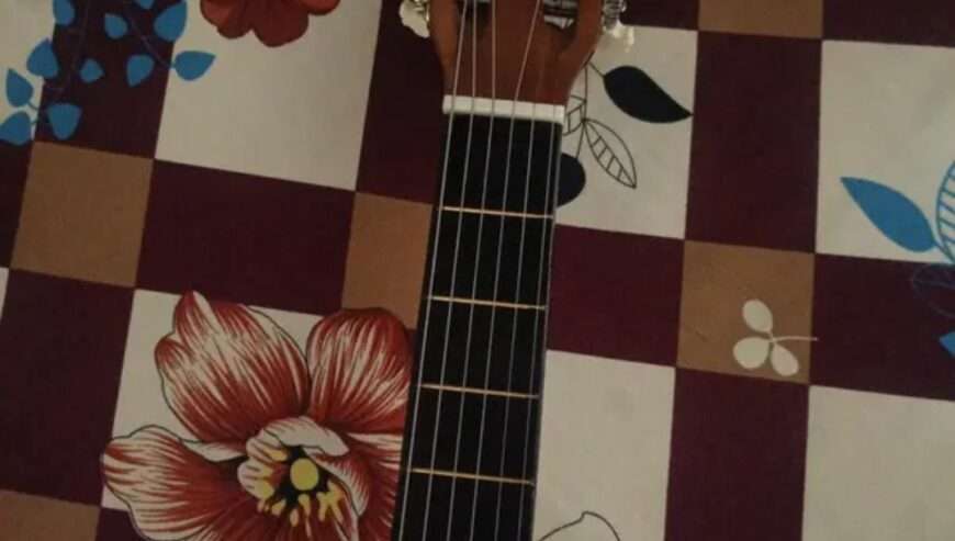 Classical guitar pure wood