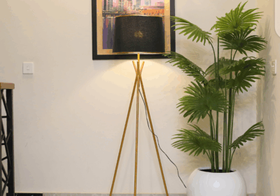 3ff962ce-2aef-4878-aa76-e5cc908ec293